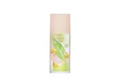 Parfum en geuren - Elizabeth Arden Green Tea Pistachio Crunch Eau De Toilette 100 ml - 085805378349