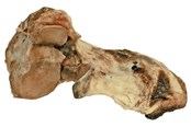 Honden - Dogman Runder knokkelbot - 480688