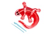 Buiten spelen - Simba Scout Dissect-It Salamander - 109452704