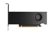 Grafische kaarten - Dell RTX PRO 2000 Blackwell Workstation Edition - 16GB GDDR7 RAM - Grafische kaarten - DELL-818KR