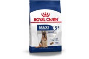 Honden - Royal Canin Maxi Adult 5+ - dry dog food - 15 kg - 3182550402316