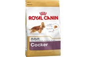 Honden - Royal Canin Adult Cocker - dry dog food - 12 kg - 3182550811538
