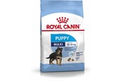 Honden - Royal Canin Maxi Puppy - 3182550402149