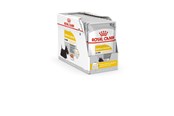 Honden - Royal Canin Dermacomfort - Wet dog food - 12 x 85 g - 9003579008812