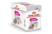 Honden - Royal Canin Exigent Wet dog food Pâté 12x85 g - 9003579009451