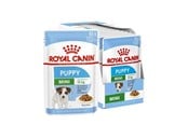 Honden - Royal Canin SHN Mini Puppy in sauce - wet puppy food - 12X85g - 9003579008201