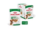 Honden - Royal Canin Mini Adult - wet dog food - 12 x 85g - 9003579008249
