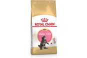 Katten - Royal Canin Maine Coon Kitten- dry cat food - 4 kg - 3182550770958