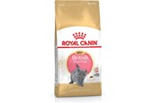 Katten - Royal Canin British Shorthair Kitten cats dry food - 3182550816533