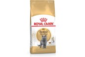 Katten - Royal Canin British Shorthair - dry cat food - 2 kg - 3182550756419
