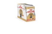 Katten - Royal Canin British Shorthair packet 12x85g - 9003579001240
