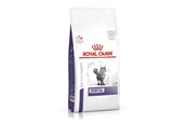 Katten - Royal Canin Dental - dry cat food - 1,5kg - 3182550722308