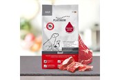 Honden - Platinum 4260208740658 dogs dry food - 4260208740658
