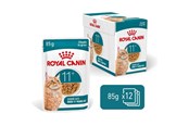 Katten - Royal Canin Ageing 11+ Chunks in gravy - wet cat food - 12x85g - 9003579050088