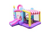 Buiten spelen - Doctor Dolphin Doghnut springkussen incl. 350 watt blower - 72002
