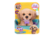 Speelsets - Little Live Pets My Really Real Daxie Puppy - 26805