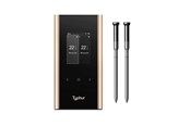 Grill & Accessoires - Typhur Sync Gold Dual - WT05