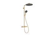 Douche- en montageaccessoires - Hansgrohe raindance alive s puro showerpipe 300 1jet ecosmart with - 24593140