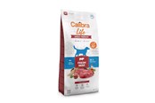 Honden - Calibra Dog Life Adult Medium Fresh Beef - dry dog food - 12kg - 8595706701211