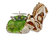 Speelgoedpop - GrossMos Flying dino assorted - 521549