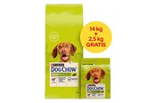Honden - PURINA NESTLE Dog Chow Adult Lamb - dry dog food - 14 + 2.5kg - 8445291654679