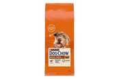 Honden - PURINA NESTLE Dog Chow Mature Senior with lamb - dry dog food - 14 kg - 7613287575456