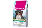 Honden - Eukanuba Special Care Adult Dogs with Sensitive Joints – dry dog food – 12 kg - 8710255196169