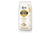 Honden - Brit Fresh 12kg Adult Apple Buckwheat Chicken Potato - 8595602530731