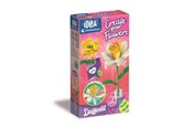 Creatief spelen - Clementoni Small Fragrant Flower - Daffodil - 18180