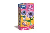 Creatief spelen - Clementoni Create Your Flowers Anemone - 18346
