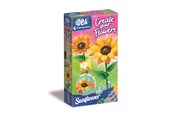 Creatief spelen - Clementoni Create Your Flowers Sunflower - 18347