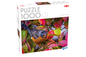 Puzzels - Tactic 1000 pcs puzzle: Robin in the Autumn Leaves - 60473