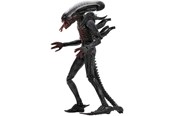 Merchandise - Neca - Bloody Xenomorph - Figuur - 0634482517017
