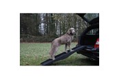 Honden - Nobby Hunderampe 152 x 40 cm - L76325