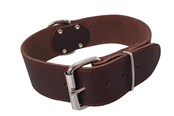Honden - Nobby Halsbånd TABIL ekstra bred 65 cm (48-58 cm) 50 mm - L80934-03