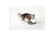 Katten - Nobby Drikke fontæne Cascade 1.5 L - L72144