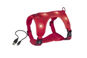 Honden - Nobby Seletøj Flash Mesh L Rød - L80752-01