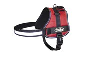 Honden - Nobby Sele SEGURO Rød - L - L80583-01
