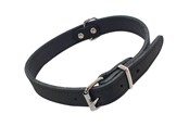 Honden - Nobby Halsbånd TABIL 50 cm (41-46 cm) 20 mm Sort - L80923-05