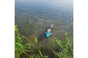 Honden - Nobby Blæksprutte Floating - L62516