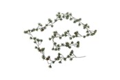 Decoratie - Bloomingville Cedar - 82072373