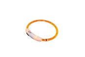 Honden - Nobby LED halsbånd VISIBLE S - 35 cm - L78263