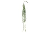 Decoratie - Bloomingville Tilandsia - 82061497