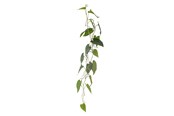 Decoratie - Bloomingville Anthurium - 82061498