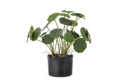 Decoratie - Bloomingville Copper - 82061504