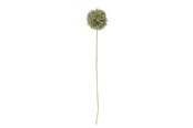 Decoratie - Bloomingville Allium - 82061466
