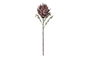 Decoratie - Bloomingville Protea - 82061467