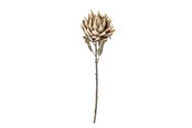 Decoratie - Bloomingville Protea - 82061468