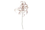 Decoratie - Bloomingville Eucalyptus - 82061470