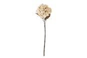 Decoratie - Bloomingville Hydrangea - 82061476